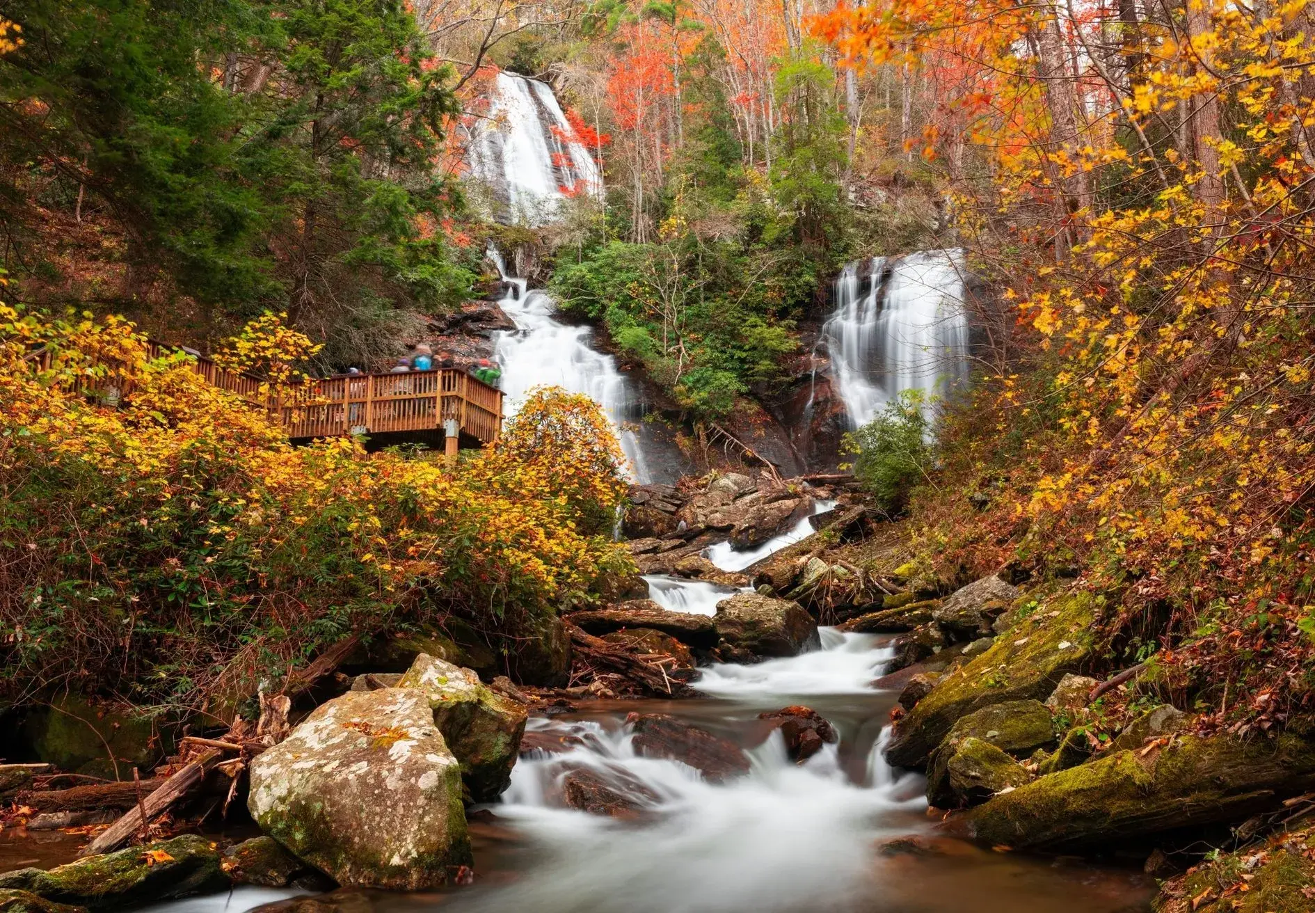 Georgia punto de destino