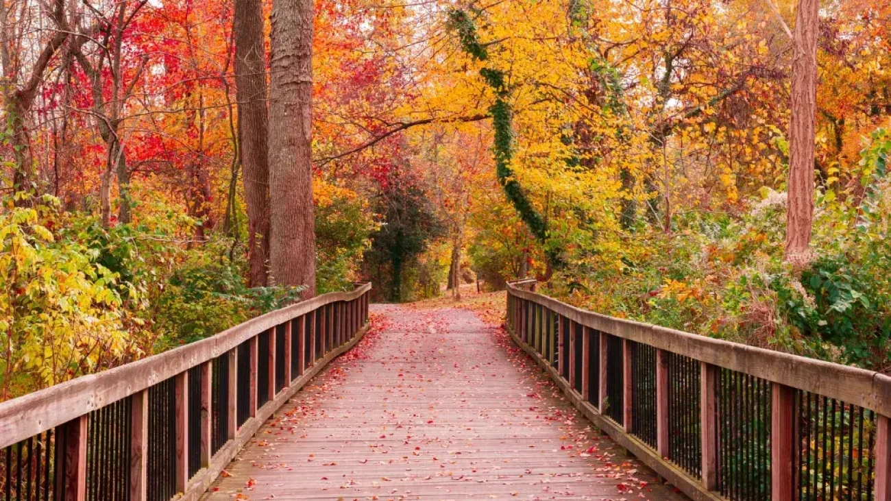 La Vida es un Breve Instante que Nos Da la Muerte2 - Luis Manuel Gonzalez