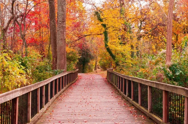 La Vida es un Breve Instante que Nos Da la Muerte2 - Luis Manuel Gonzalez